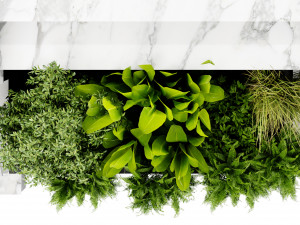 Collection plant vol 507 - blender model 3D Model