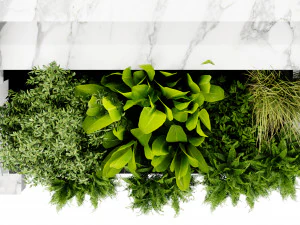 Collection plant vol 507 - blender model 3D Model