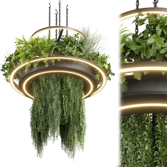 Collection plant vol 508 - chandelier - ampelous - hanging - fern 3D Модель .c4d .max .obj .3ds .fbx .stl .blend 