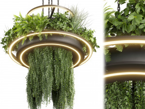 Collection plant vol 508 - chandelier - ampelous - hanging - fern 3D Модель