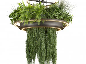 Collection plant vol 508 - chandelier - ampelous - hanging - fern 3D Model