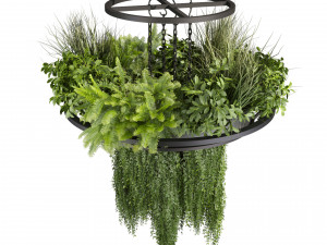 Collection plant vol 508 - chandelier - ampelous - hanging - fern 3D Модель
