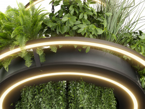 Collection plant vol 508 - chandelier - ampelous - hanging - fern 3D Модель