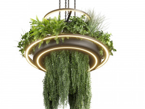 Collection plant vol 508 - chandelier - ampelous - hanging - fern 3D Модель