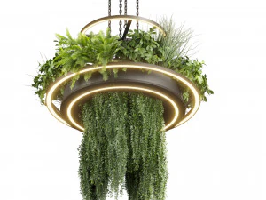 Collection plant vol 508 - chandelier - ampelous - hanging - fern 3D Model