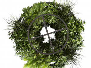 Collection plant vol 508 - chandelier - ampelous - hanging - fern 3D Модель