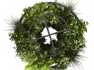 Collection plant vol 508 - chandelier - ampelous - hanging - fern 3D Model