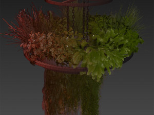 Collection plant vol 508 - chandelier - ampelous - hanging - fern 3D Модель