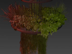 Collection plant vol 508 - chandelier - ampelous - hanging - fern 3D Model