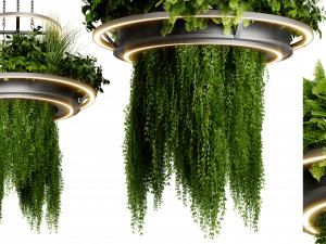 Collection plant vol 508 - blender model Modelo 3D