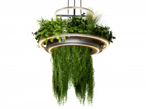 Collection plant vol 508 - blender model Modello 3D