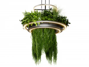 Collection plant vol 508 - blender model 3D Model