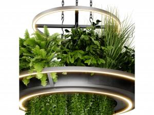 Collection plant vol 508 - blender model Modello 3D