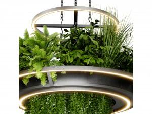 Collection plant vol 508 - blender model 3D Model