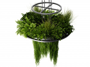 Collection plant vol 508 - blender model Modello 3D