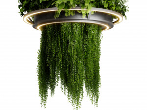 Collection plant vol 508 - blender model Modello 3D