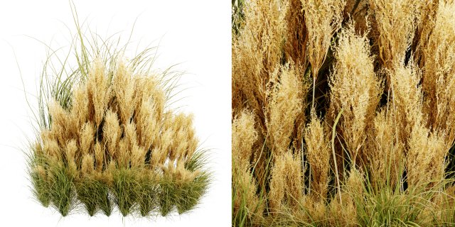 Collection plant vol 509 - blender model Modelo 3D .c4d .max .obj .3ds .fbx .stl .blend 