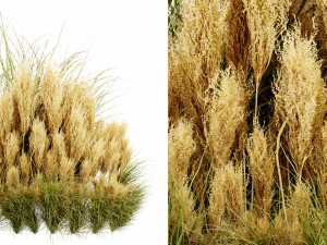 Collection plant vol 509 - blender model 3D-Modell