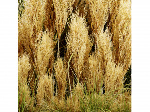 Collection plant vol 509 - blender model Modelo 3D