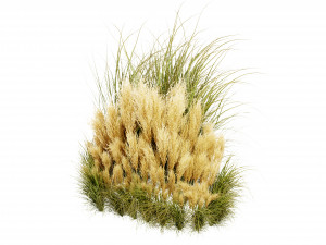 Collection plant vol 509 - blender model Modelo 3D