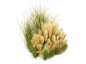 Collection plant vol 509 - blender model Modelo 3D