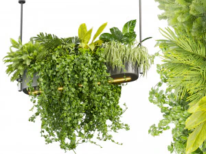 Plante de collection vol 510 - ampelous - suspendu - monstera - lustre - pothos Modèle 3D