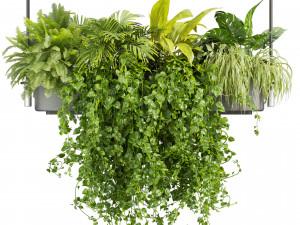 Collection plant vol 510 - ampelous - hanging - monstera - chandelier - pothos Modèle 3D