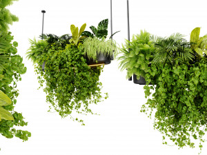 Collection plant vol 510 - blender model Modèle 3D