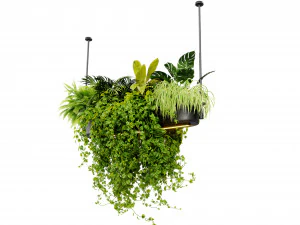 Collection plant vol 510 - blender model 3D Model