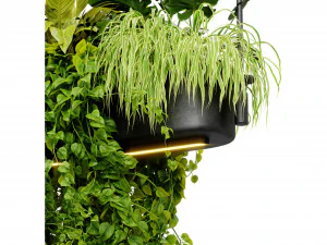 Collection plant vol 510 - blender model 3D Model
