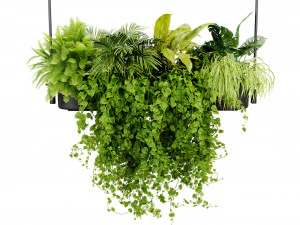 Collection plant vol 510 - blender model 3D Model