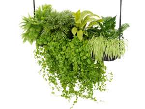 Collection plant vol 510 - blender model 3D 모델