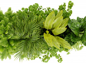 Collection plant vol 510 - blender model 3D 모델