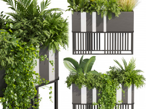 Collection plant vol 511 - pothos - palm - grass - pampas - boxplant Model 3D