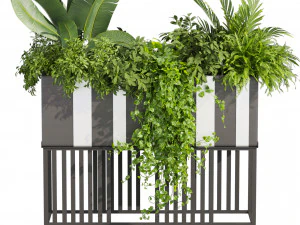 Kolekcja roślin tom 511 - pothos - palma - trawa - pampas - roślina pudełkowa Model 3D