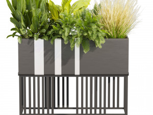 Collection plant vol 511 - pothos - palm - grass - pampas - boxplant 3D मॉडल