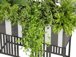 Kolekcja roślin tom 511 - pothos - palma - trawa - pampas - roślina pudełkowa Model 3D