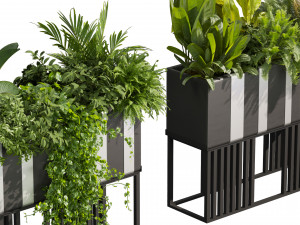 Collection plant vol 511 - pothos - palm - grass - pampas - boxplant 3D मॉडल