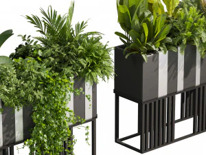 Kolekcja roślin tom 511 - pothos - palma - trawa - pampas - roślina pudełkowa Model 3D