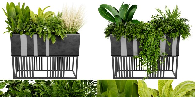 Collection plant vol 511 - blender model 3D Model .c4d .max .obj .3ds .fbx .stl .blend 