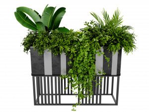 Collection plant vol 511 - blender model 3D Model