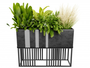 Collection plant vol 511 - blender model 3D Model