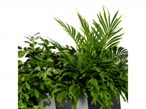 Collection plant vol 511 - blender model 3D Model