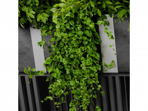 Collection plant vol 511 - blender model 3D Model