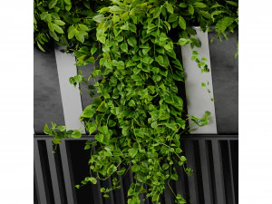 Collection plant vol 511 - blender model 3D Model