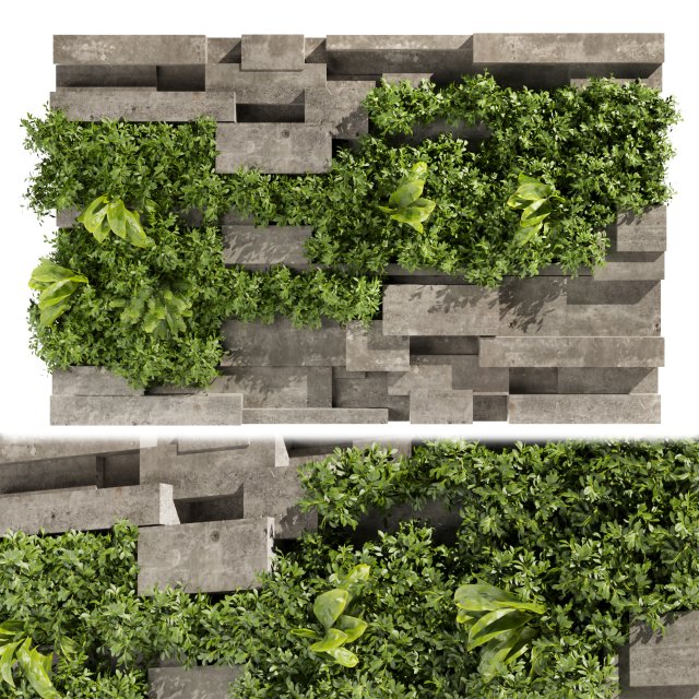 Collection plant vol 512 - fitowall - Concrete - fern - bush Model 3D .c4d .max .obj .3ds .fbx .stl .blend 