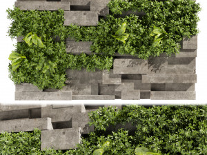 Collection plant vol 512 - fitowall - Concrete - fern - bush Model 3D