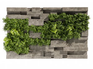 Collection plant vol 512 - fitowall - Concrete - fern - bush Model 3D