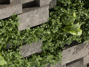 Collection plant vol 512 - fitowall - Concrete - fern - bush Model 3D