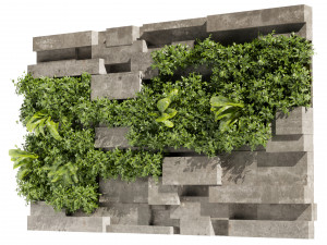 Collection plant vol 512 - fitowall - Concrete - fern - bush Model 3D